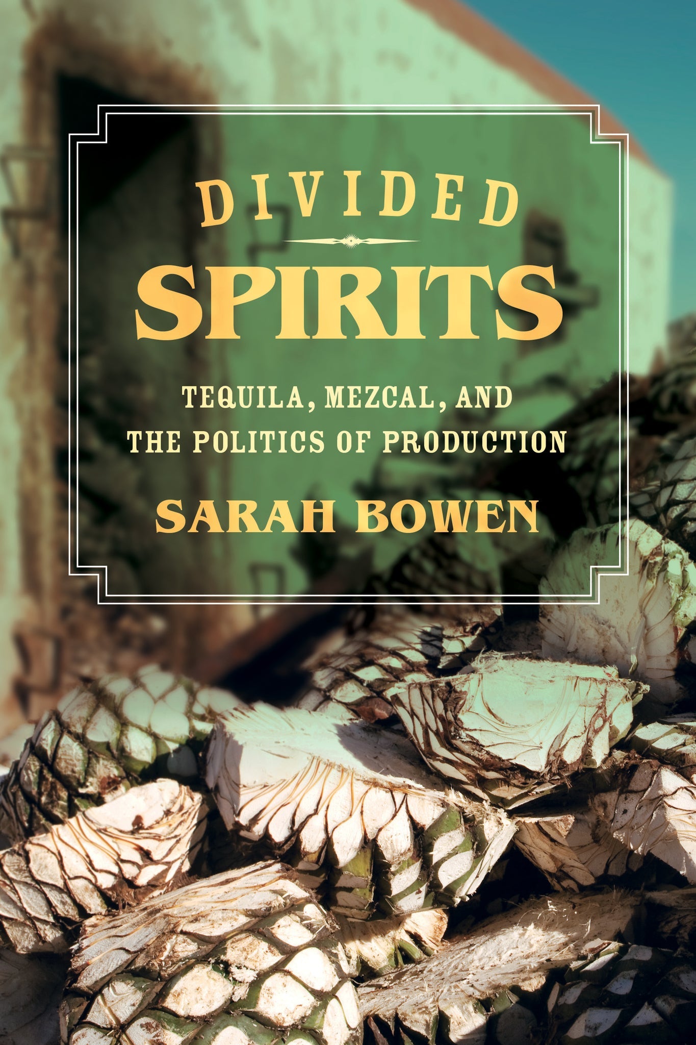 Cover image for Divided Spirits ISBN 9780520962583
